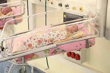 В регионе растет количество семей с тремя детьми